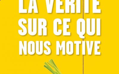 Mieux comprendre les sources de votre motivation avec Dan Pink – Vidéo