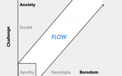 Retour sur la notion de Flow