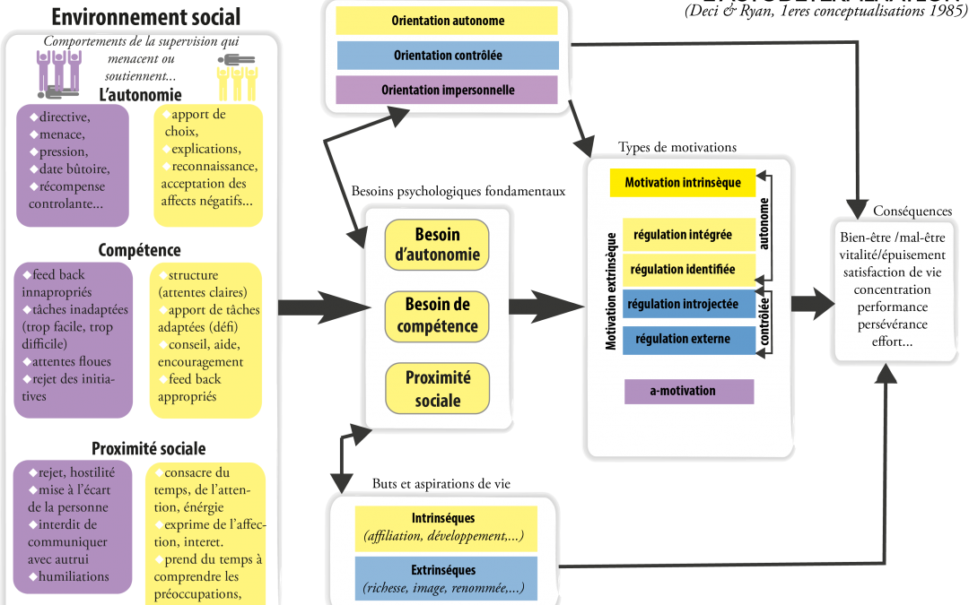 Mieux comprendre la théorie de l’Autodétermination